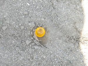 Dscn3544