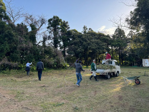 Image1
