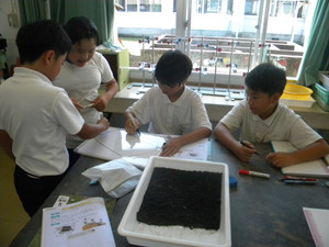 Dscn5367