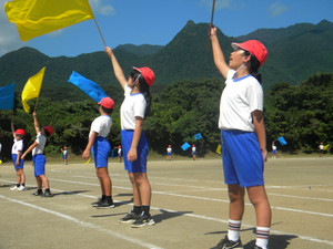 5