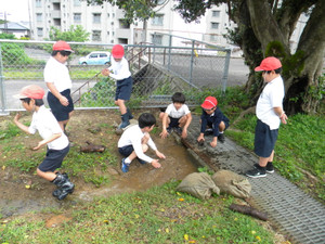 Dscn0626