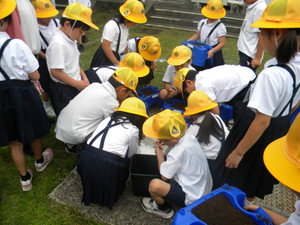 Dscn1082