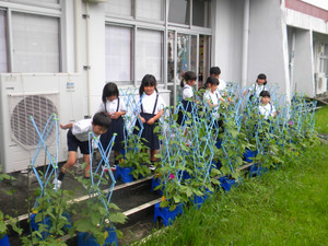 Dscn2596